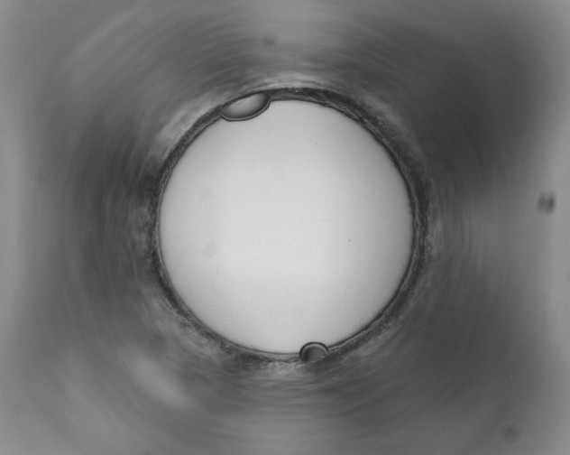 X0000110741313200907060958