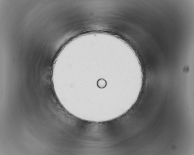 X0000110741314200907060958