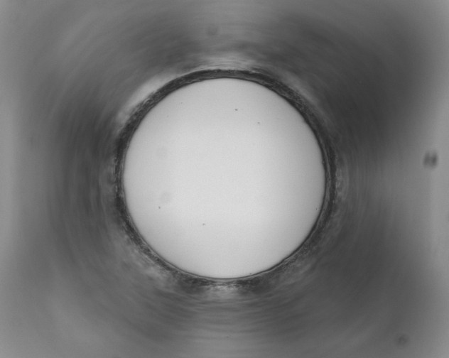 X0000110741315200907060958