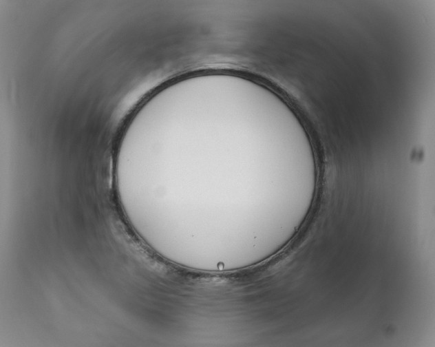 X0000110741317200907060958