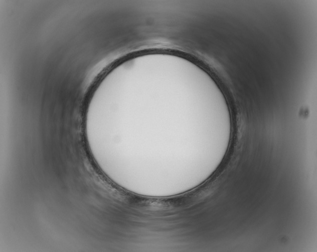 X0000110741318200907060958