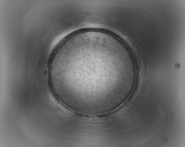 X0000110741319200907060958