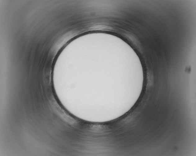 X0000110741322200907060958