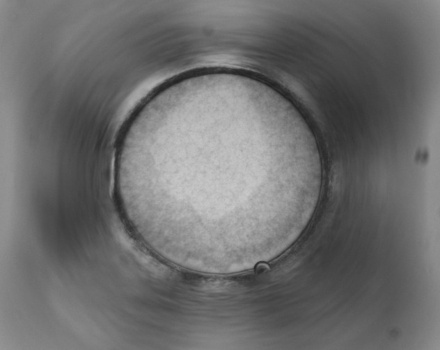 X0000110741323200907060958