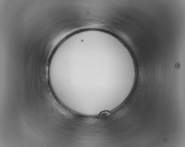 X0000110741324200907060958