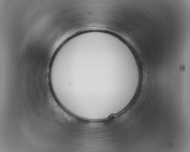 X0000110741325200907060958