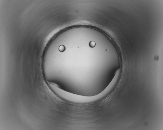 X0000110741326200907060958