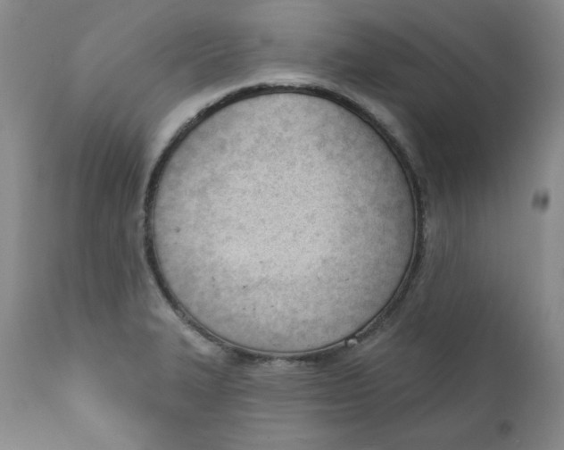 X0000110741327200907060958