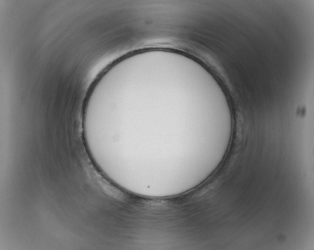 X0000110741328200907060958