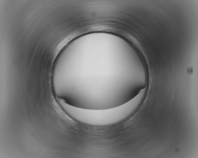 X0000110741330200907060958