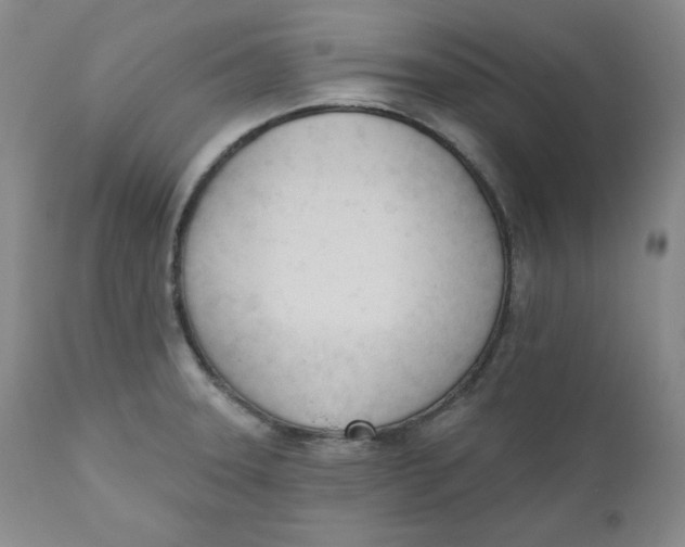 X0000110741331200907060958