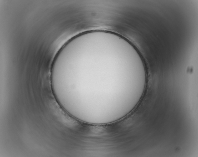 X0000110741332200907060958