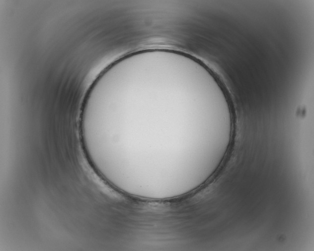 X0000110741333200907060958