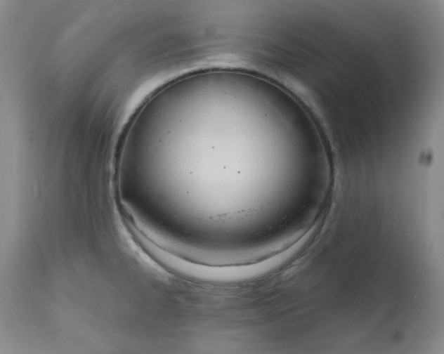 X0000110741334200907060958