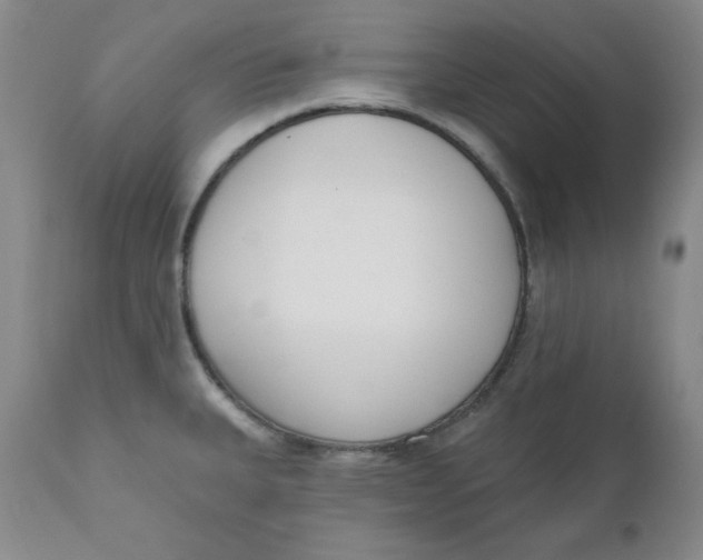 X0000110741335200907060958