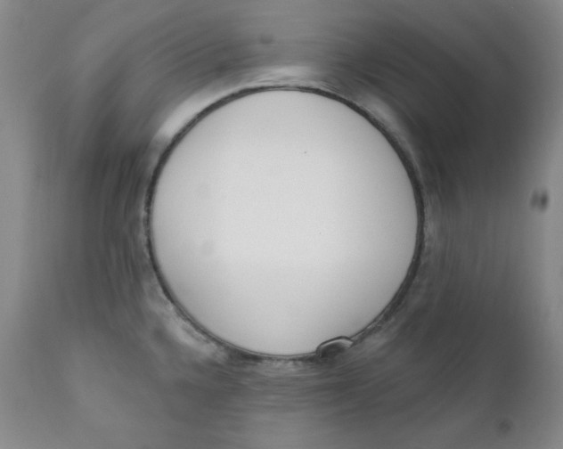 X0000110741336200907060958