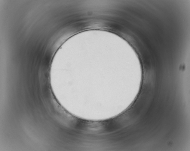 X0000110741338200907060958