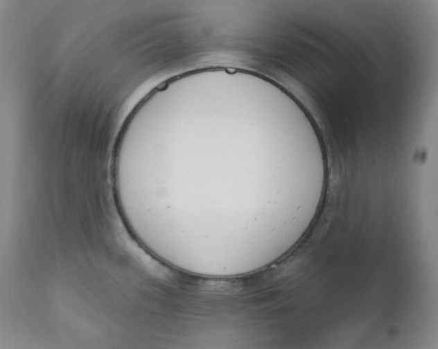 X0000110741339200907060958