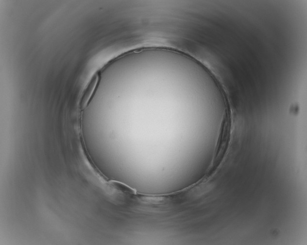 X0000110741342200907060958