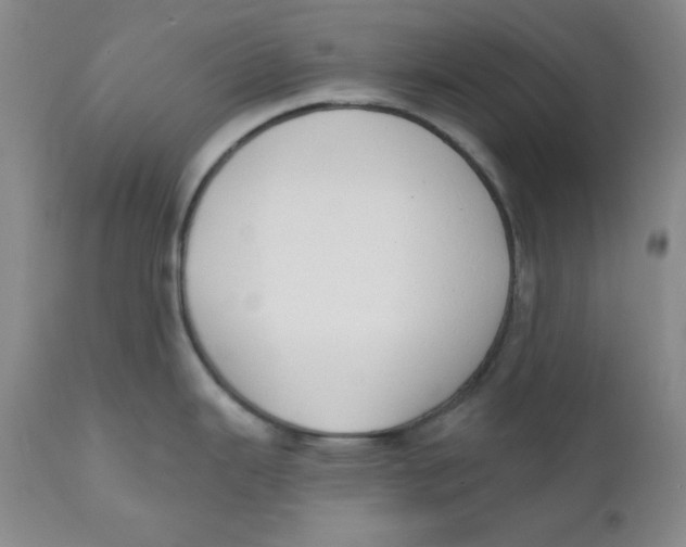 X0000110741343200907060958