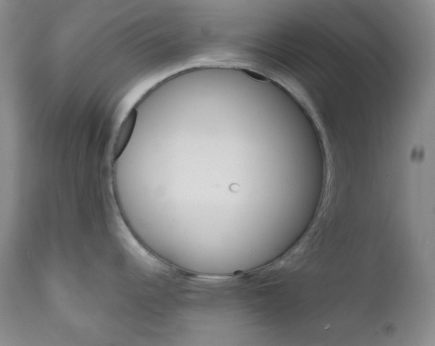 X0000110741344200907060958