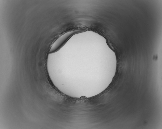 X0000110741345200907060957