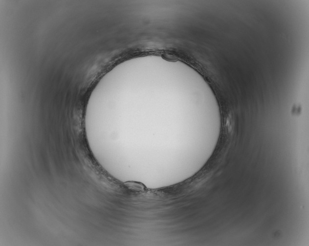 X0000110741348200907060957