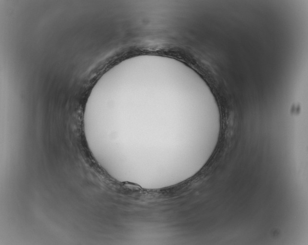 X0000110741349200907060957