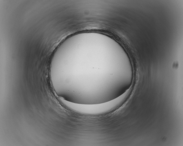 X0000110741353200907060957