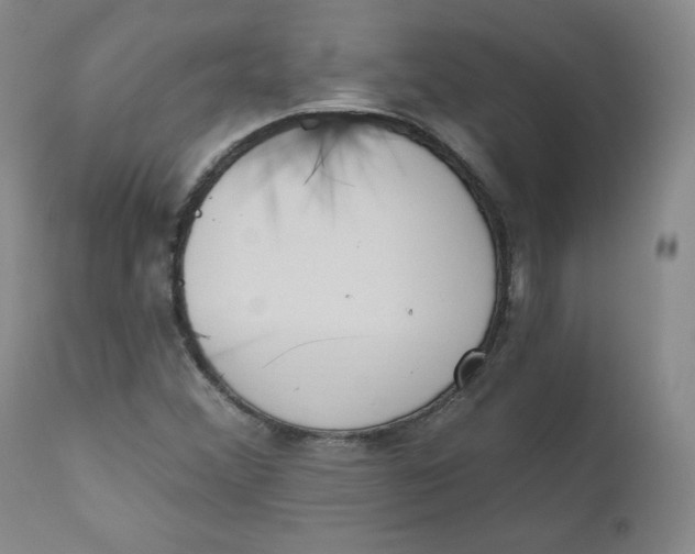 X0000110741356200907060957