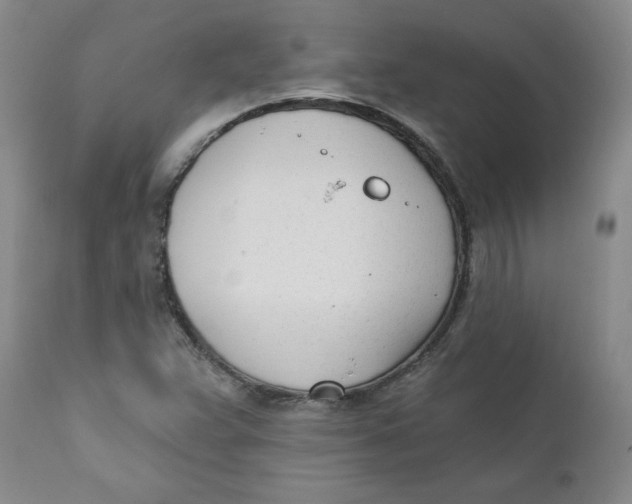 X0000110741359200907060957