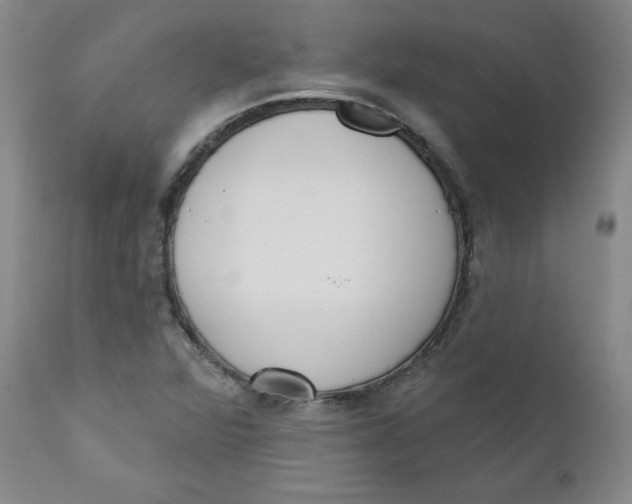 X0000110741360200907060957