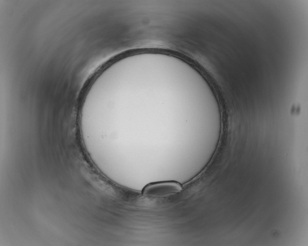 X0000110741364200907060957