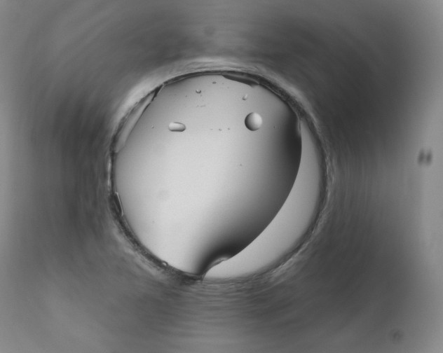 X0000110741365200907060957