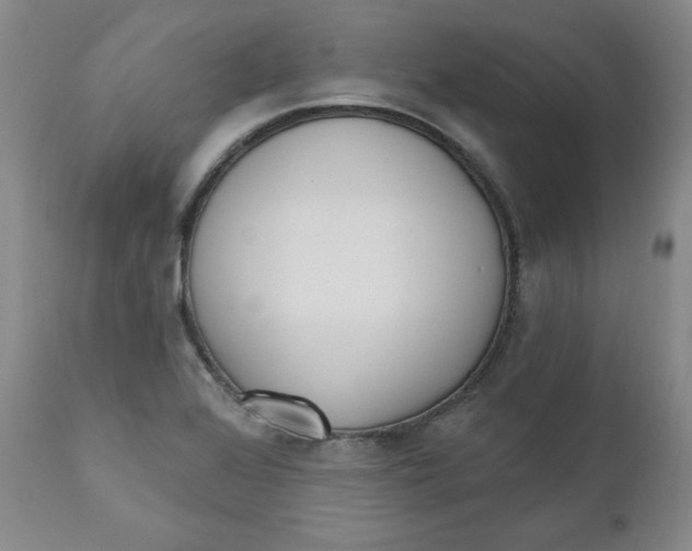 X0000110741368200907060957