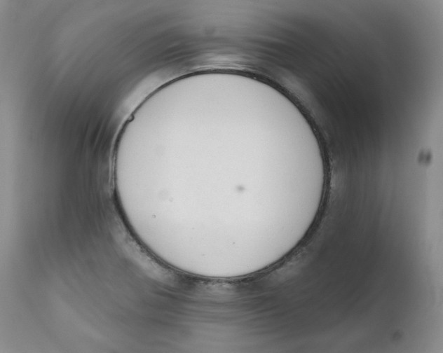 X0000110741370200907060957