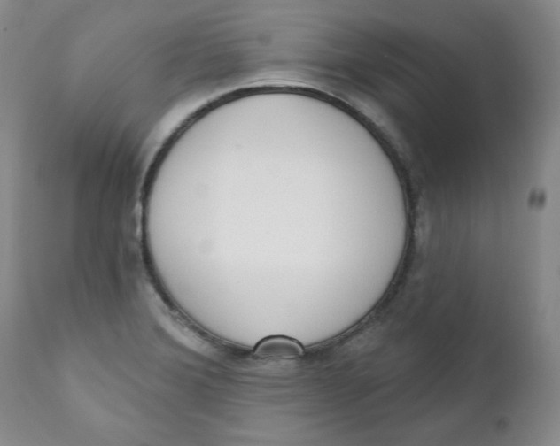 X0000110741372200907060957