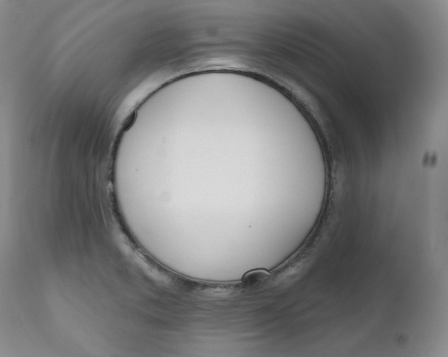 X0000110741373200907060957