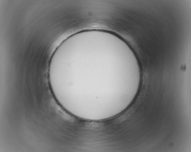 X0000110741374200907060957