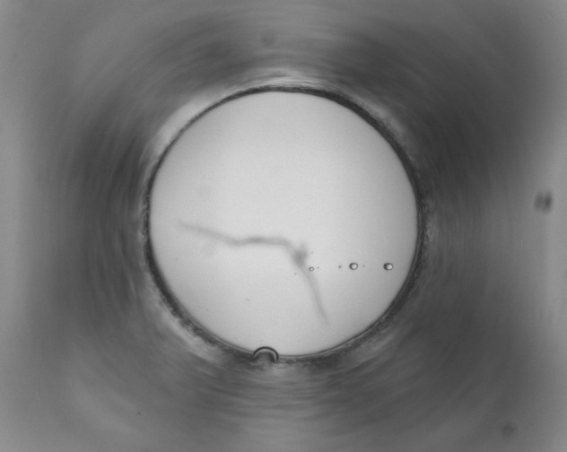 X0000110741375200907060957