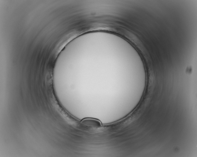 X0000110741377200907060957