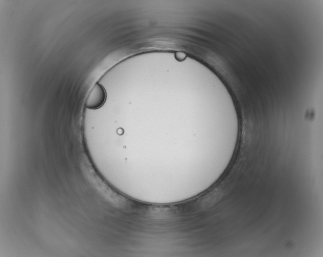 X0000110741378200907060957