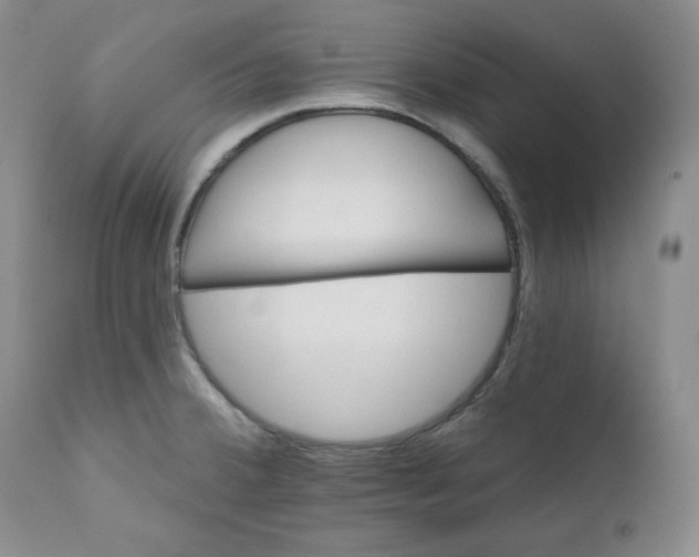 X0000110741380200907060957