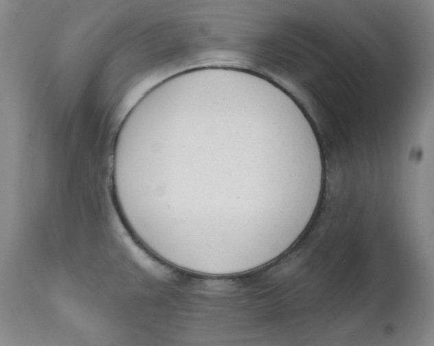 X0000110741383200907060957