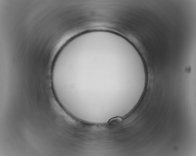 X0000110741384200907060957