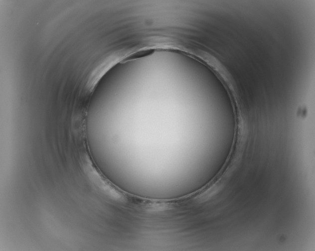 X0000110741385200907060957