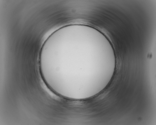 X0000110741387200907060957