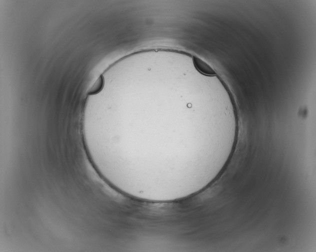 X0000110741390200907060957