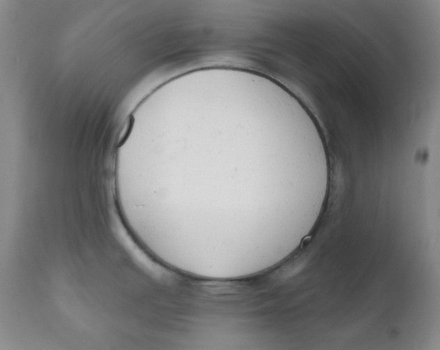 X0000110741391200907060957