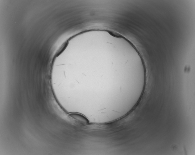 X0000110741392200907060957